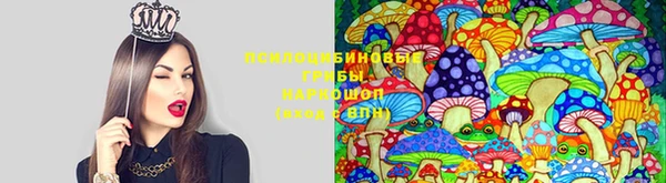 кристаллы Новодвинск