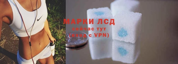 стафф Новокубанск