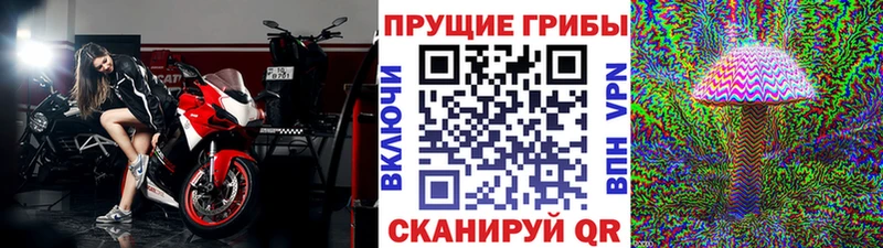 Псилоцибиновые грибы мухоморы  Купить закладки  Харабали 